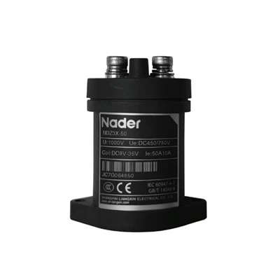 ¿Cómo se usa 'lazzen' en una descripción?